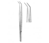 Dental Tweezers